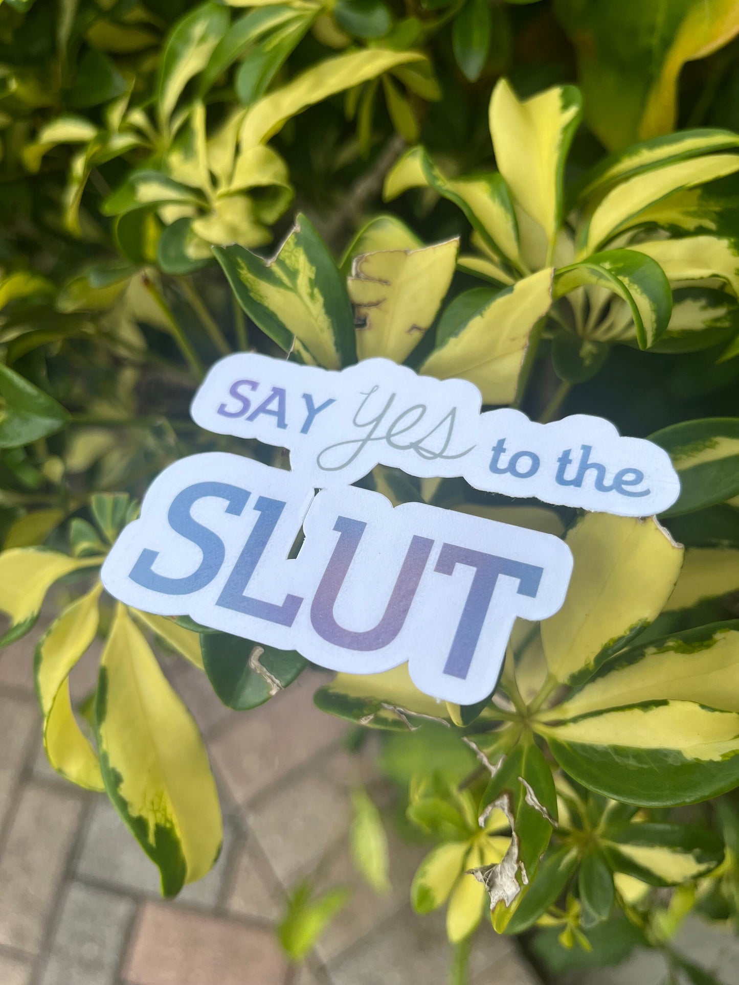 Say Yes to the Slut | Meme Sticker | Is This Say Yes to the Slut | Funny Stickers
