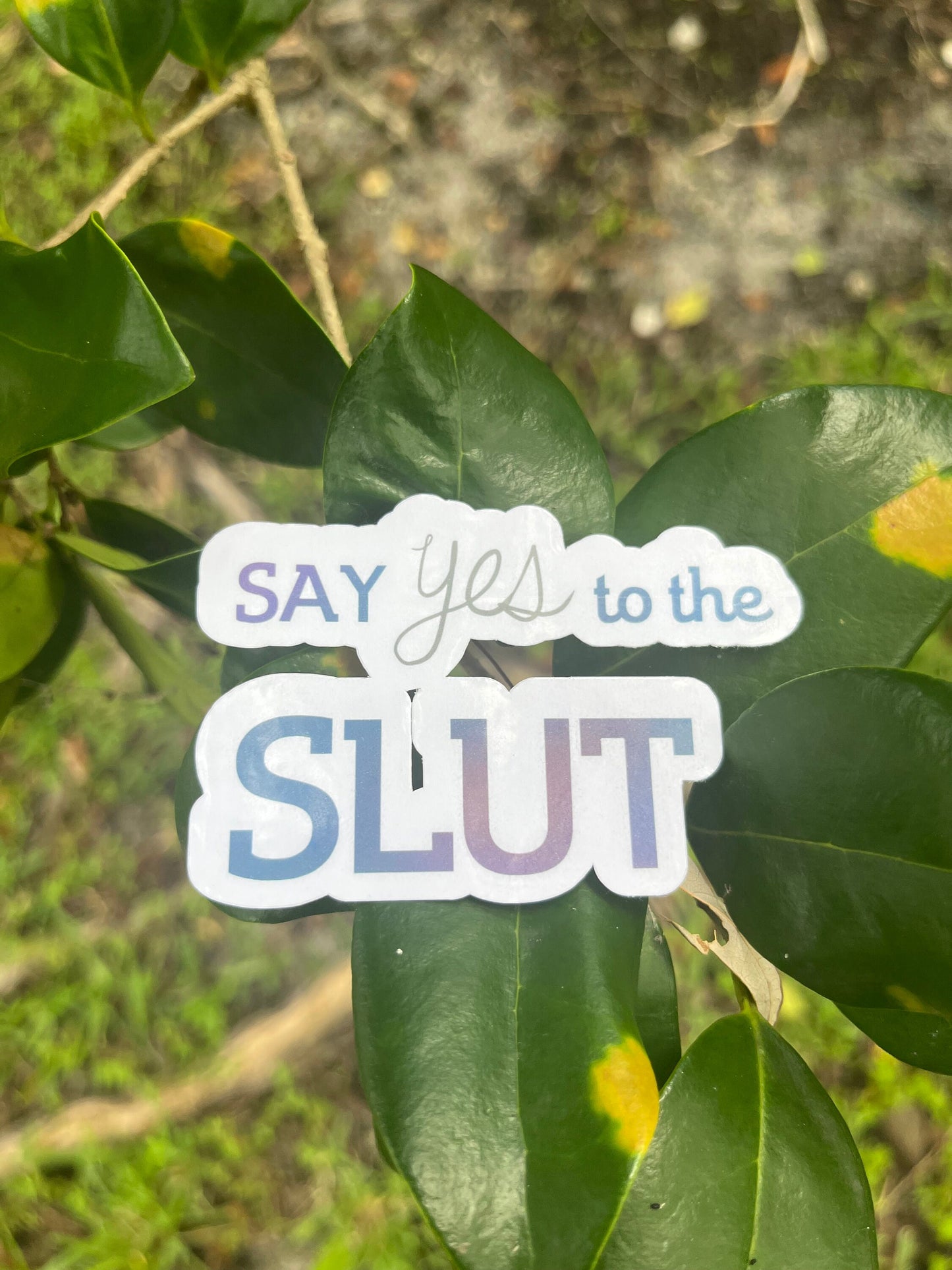 Say Yes to the Slut | Meme Sticker | Is This Say Yes to the Slut | Funny Stickers