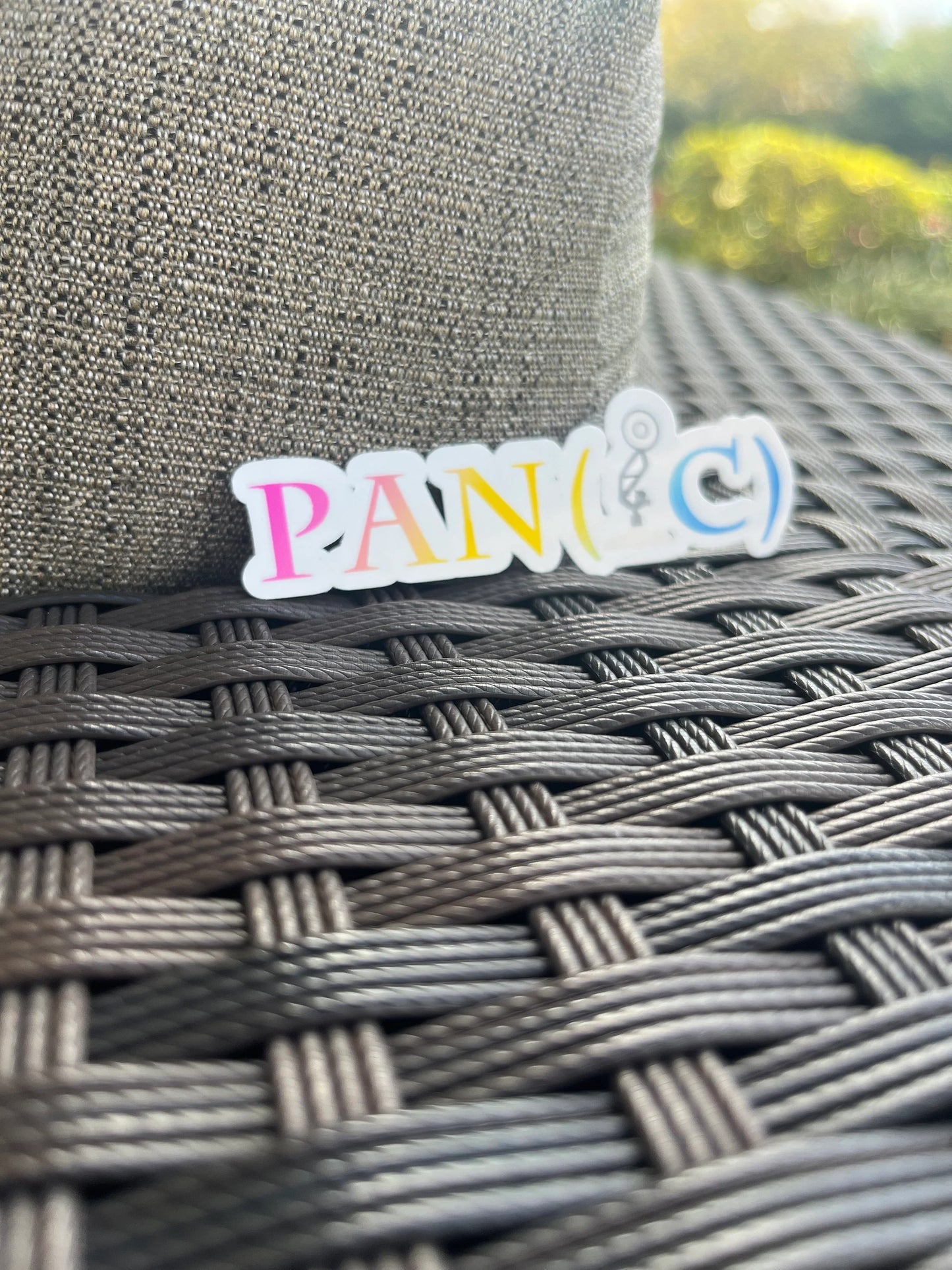 Pan(ic) Sticker | Pansexual | LGBTQ+ | Funny | Pan Lamp | Pride