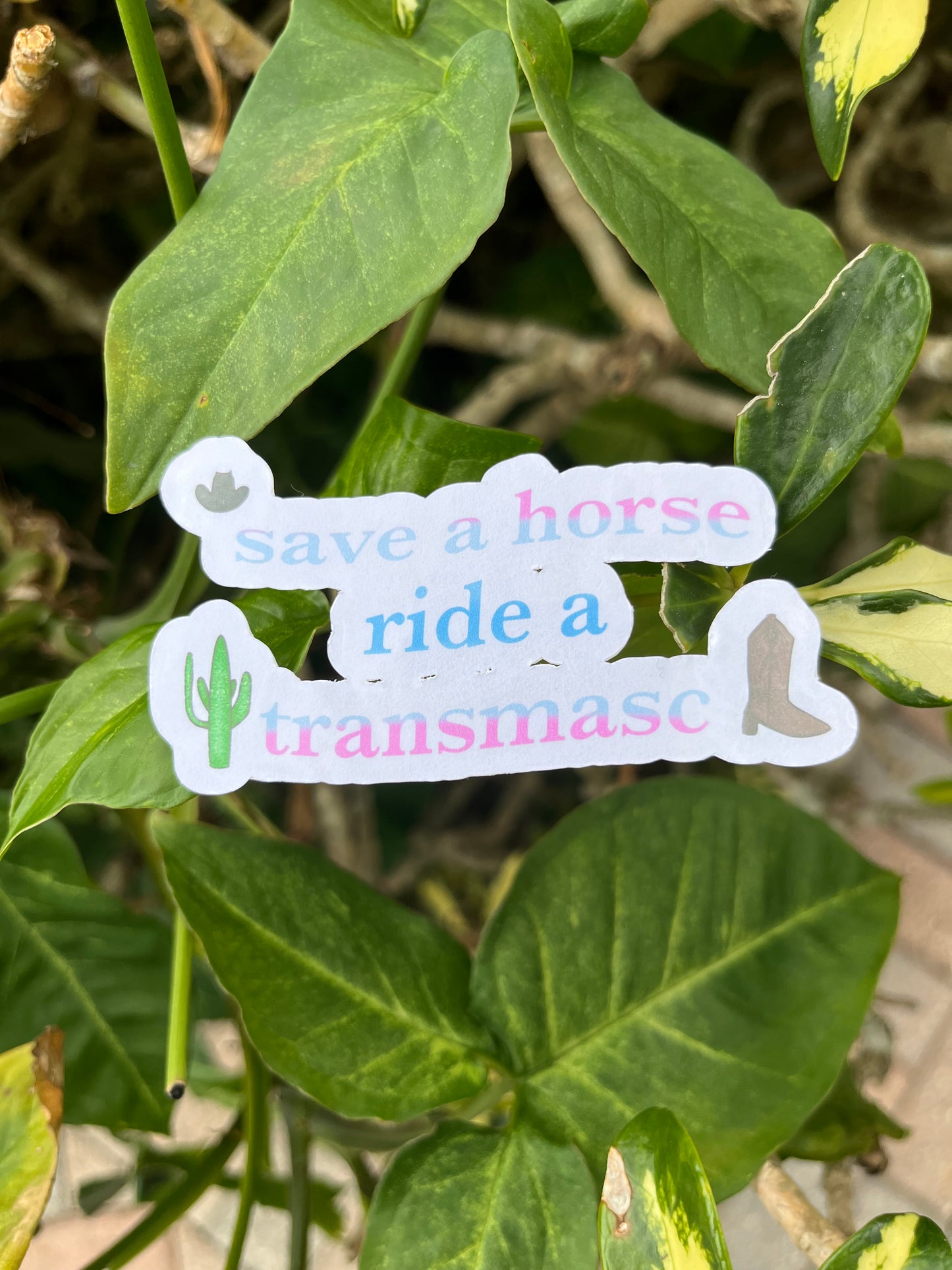 Save a Horse, Ride a Transmasc Sticker | Transmasculine Country Meme | Save a Horse, Ride a Cowboy