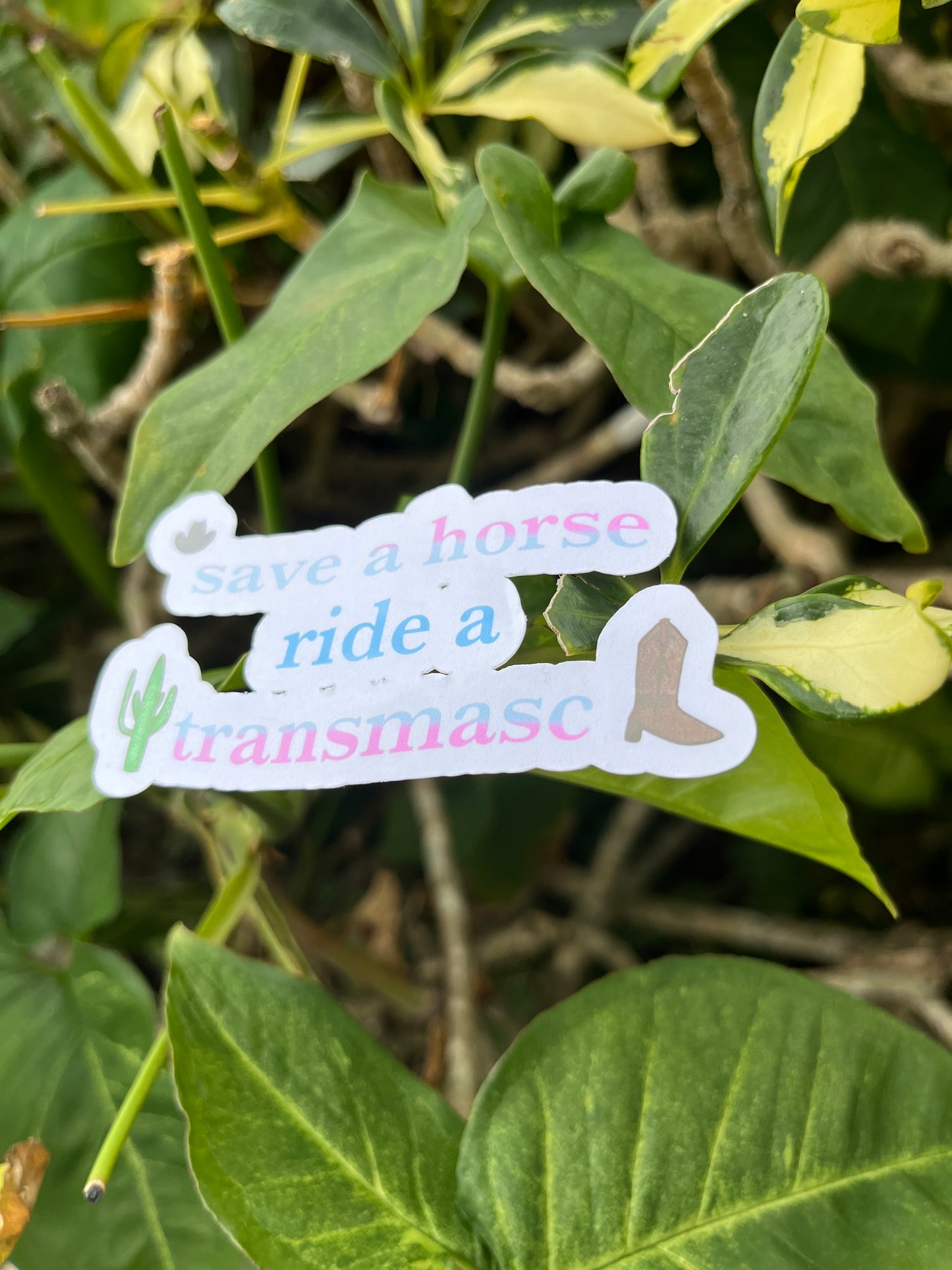 Save a Horse, Ride a Transmasc Sticker | Transmasculine Country Meme | Save a Horse, Ride a Cowboy