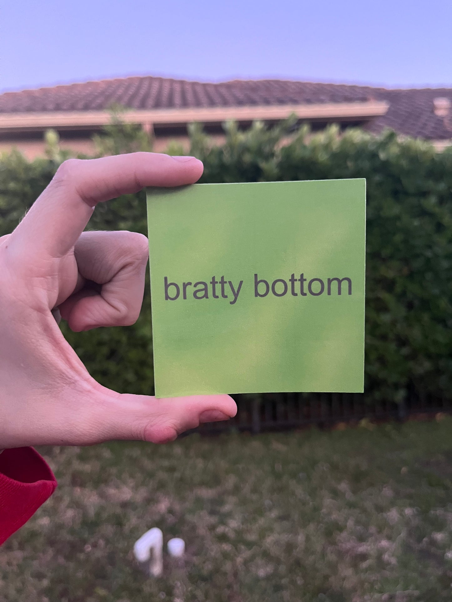 Bratty Bottom Sticker | Charli XCX | Memes | Brat | Pop Culture | Parody